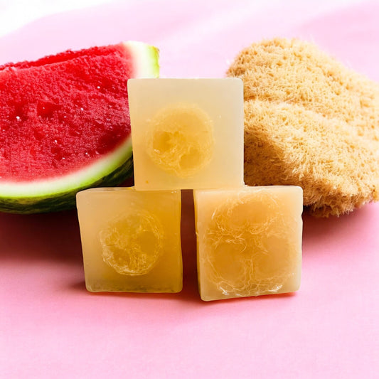 Women's Pink Watermelon Loofah Exfoliating Bar